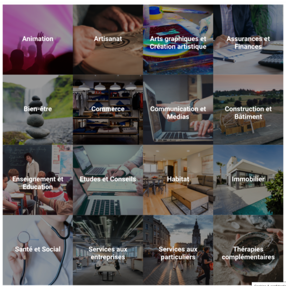 Améliorations d'un site Wordpress d'un client : Catégories d'un annuaire Wordpress - Les Soliste's Entrepreneurs